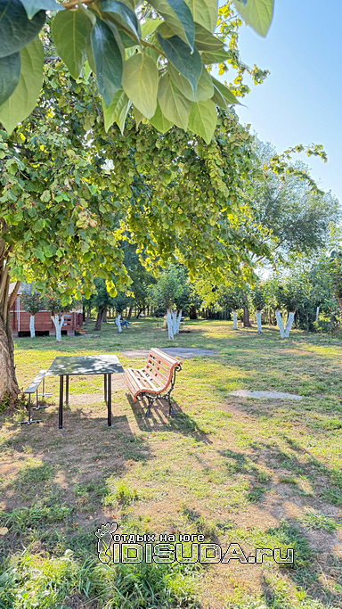 «Abrа - гостевые домики» - фотографии фотография