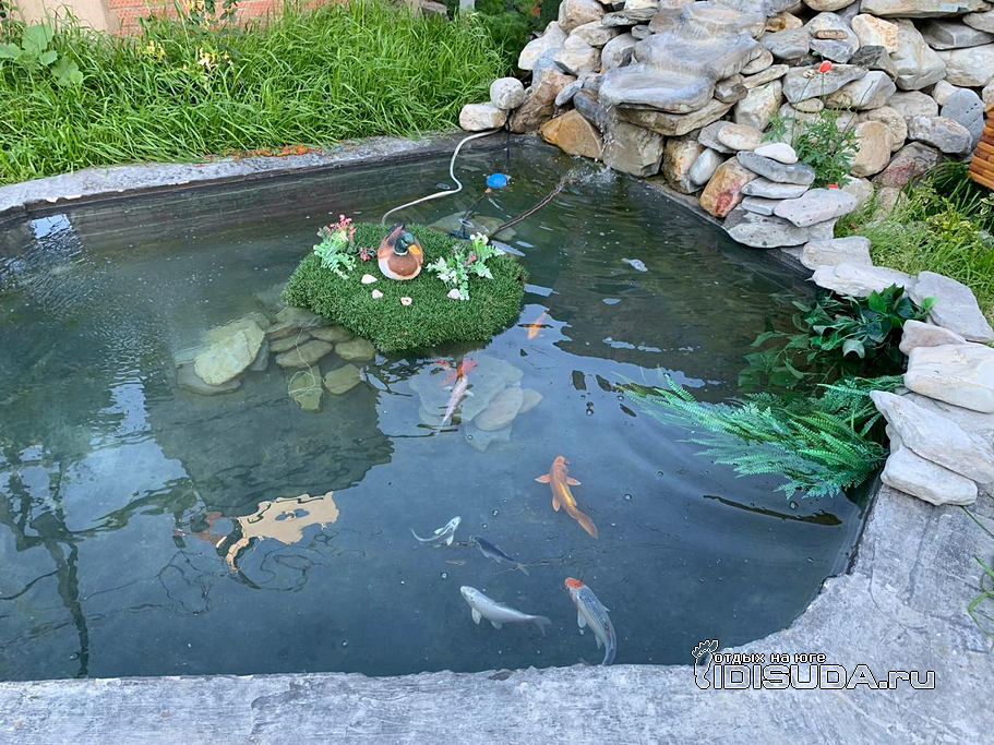 «Адмирал» - гостевой дом - фотографии фотография