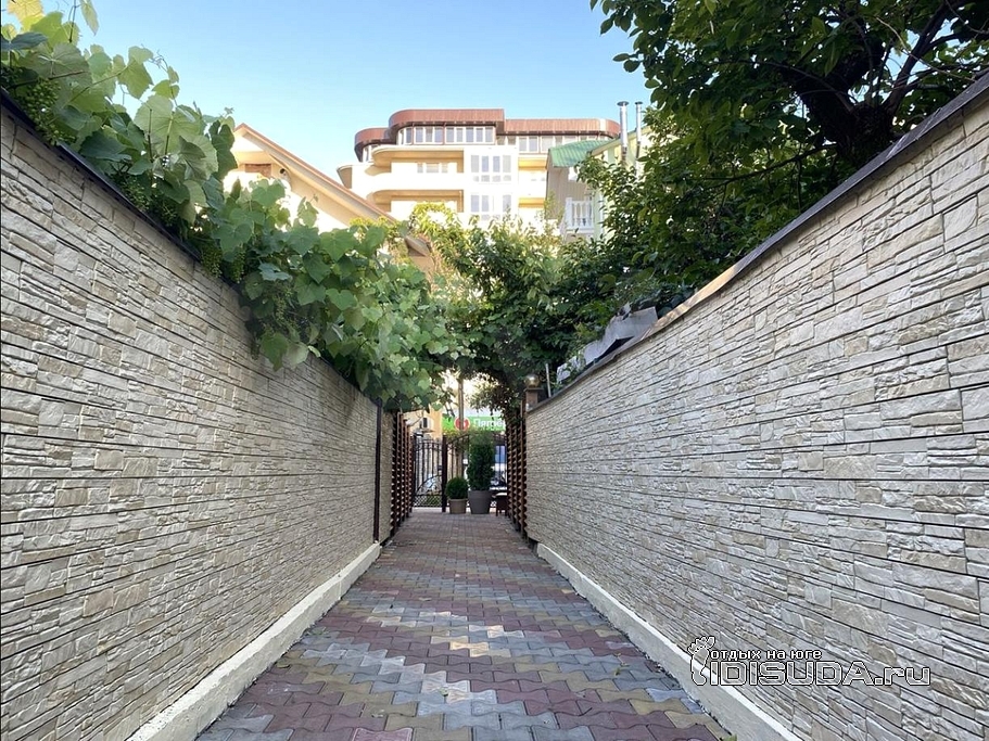 ����������