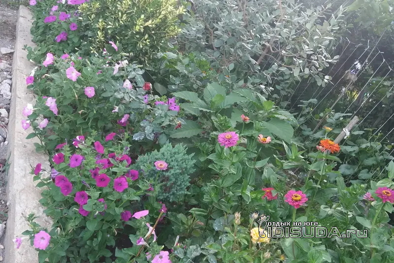 ����������