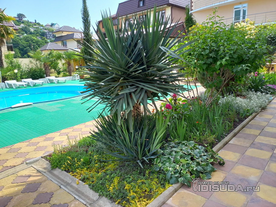 ����������