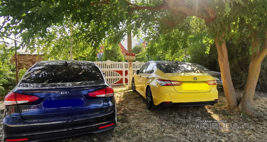 ����������