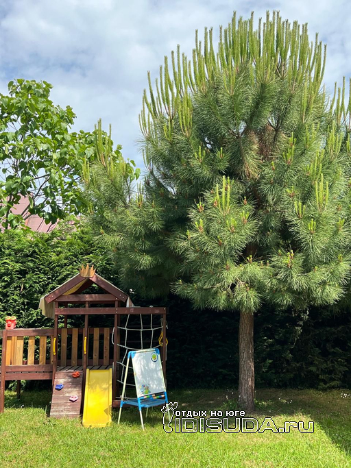 ����������