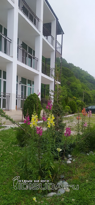 ����������